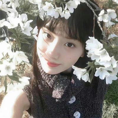 他的摩托，她的岛
